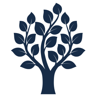 Inicio-Cortinas roller 1 Ikon legacy min