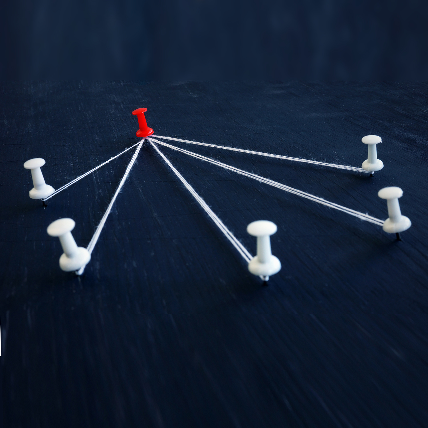 integración vertical para la venta de cortinas roller por mayor integración vertical para la venta de cortinas roller por mayor