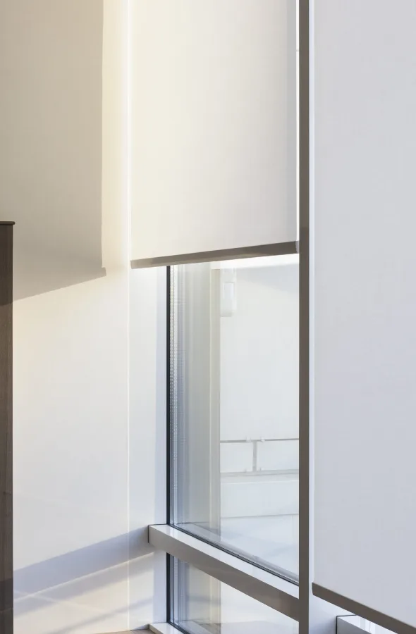 cortinas roller-markisol