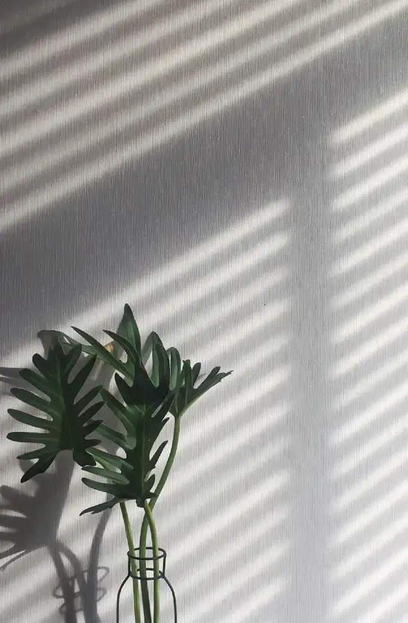 Las persianas venecianas son fáciles de limpiar